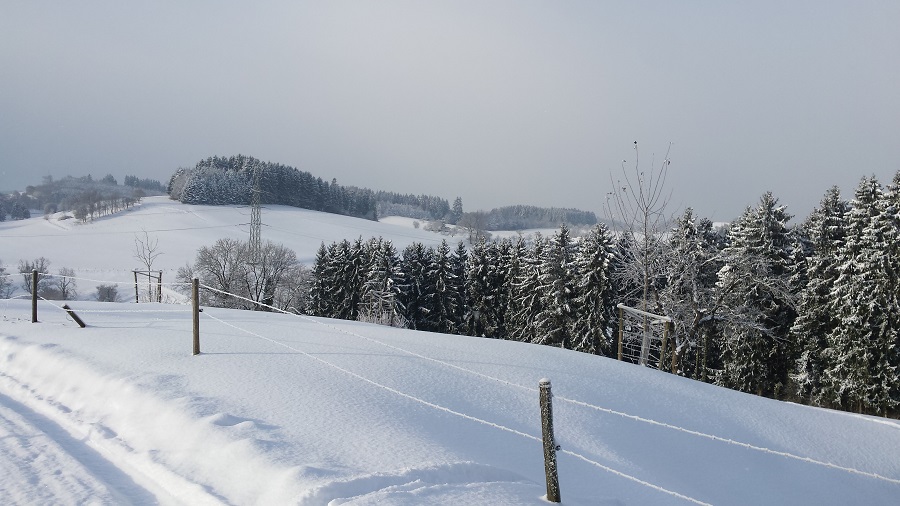 winterbilder.jpg